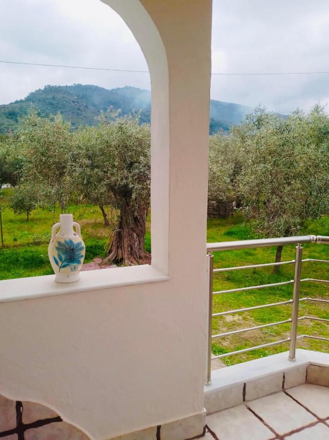 Villa Calypso Skala Rachoni  Buitenkant foto